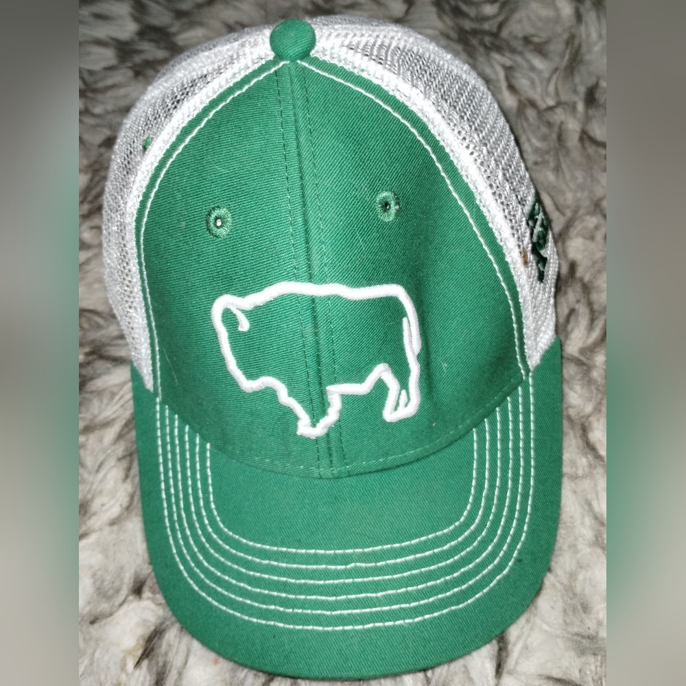 Jackson Hole Mesh Trucker Hat Green & White Snapback